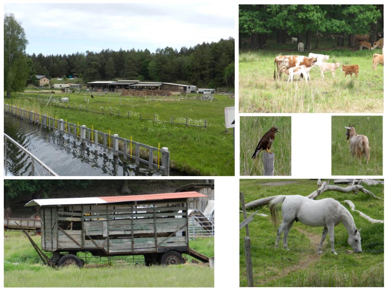Landwirtschaft am Kanal